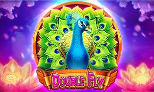Double Fly