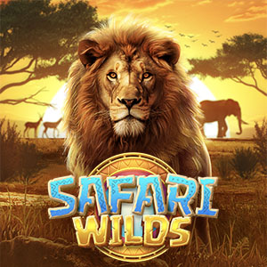 Safari Wilds